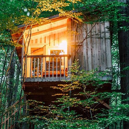 Baumhaushotel Solling Услар Экстерьер фото