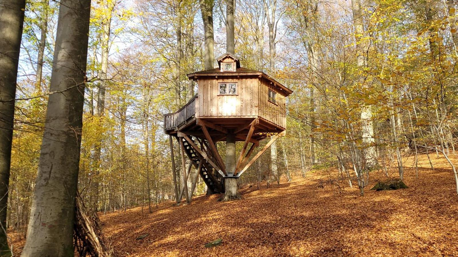 Baumhaushotel Solling Услар Экстерьер фото