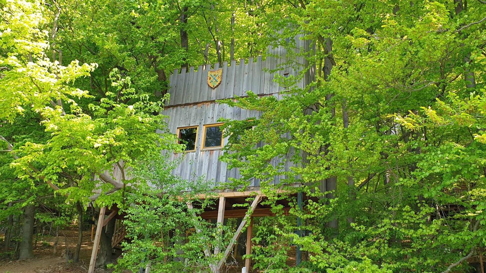 Baumhaushotel Solling Услар Экстерьер фото